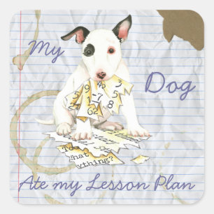 Pegatina Cuadrada Mi plan de clases de Bull Terrier en miniatura