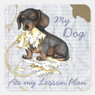 Pegatina Cuadrada Mi plan de clases de Dachshund Ate