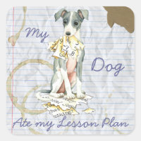 Mi plan de clases de Greyhound italiano