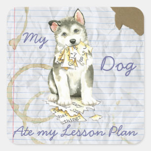 Pegatina Cuadrada Mi plan de clases Malemute Ate My Lesage