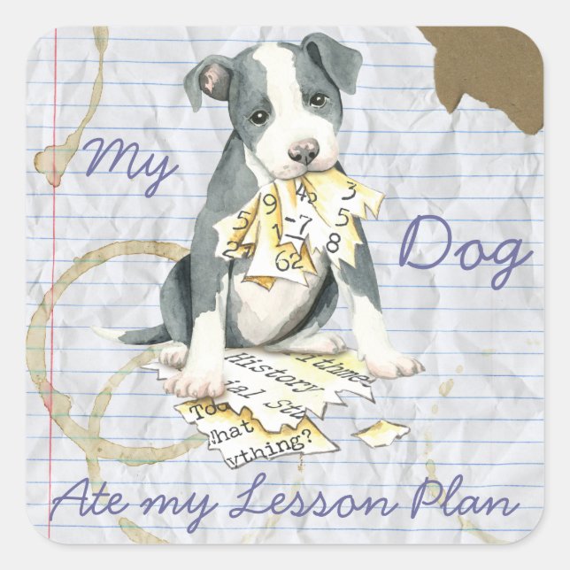 Pegatina Cuadrada Mi Plan de Lecciones de Pit Bull (Anverso)