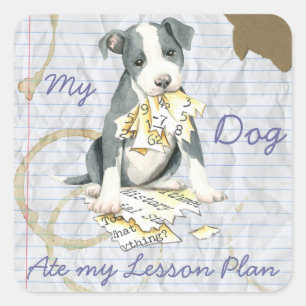 Pegatina Cuadrada Mi Plan de Lecciones de Pit Bull