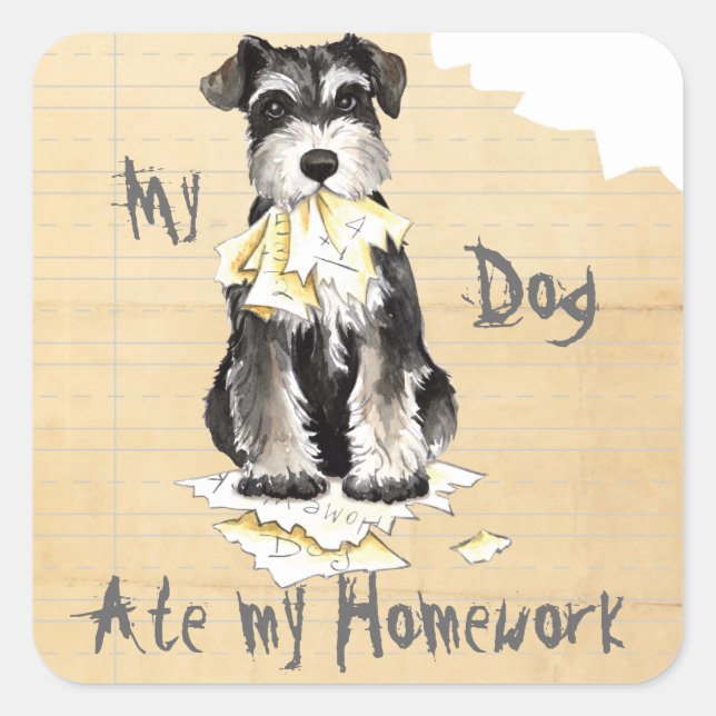 Pegatina Cuadrada Mi Schnauzer en miniatura comió mi hogar (Anverso)