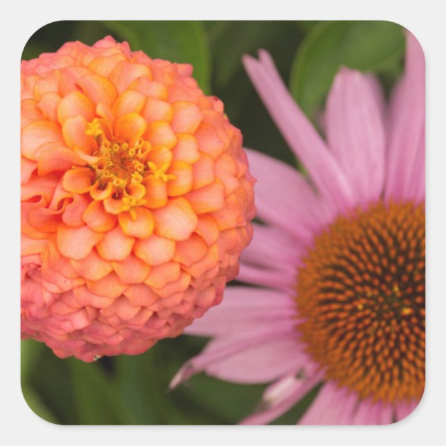 Pegatina Cuadrada Michigan, Dearborn, Greenfield Village. Durazno (Anverso)