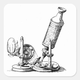 Pegatina Cuadrada Microscopio de Robert Hooke