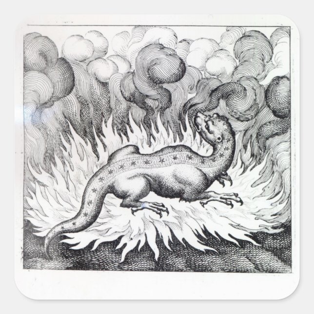 Pegatina Cuadrada Mientras el salamandra vive en llamas (Anverso)