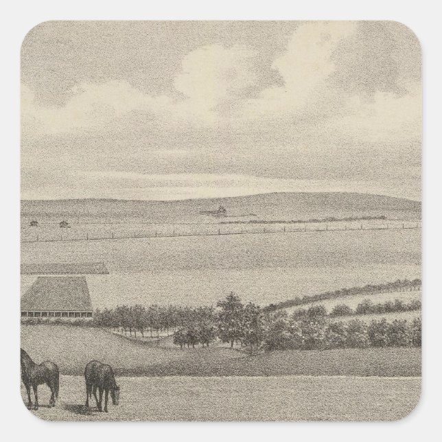 Pegatina Cuadrada Mill Brae Ranch, Kansas (Anverso)