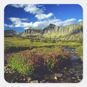 Pegatina Cuadrada Mimulus de Logan Pass en Glacier National