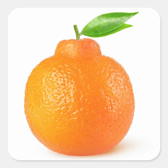 Pegatina Cuadrada Minneola tangelo citrus (Anverso)