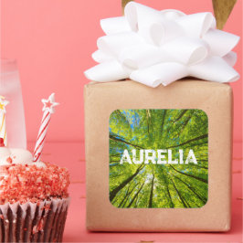 Pegatina Cuadrada Mirando a través de hojas de árboles verdes