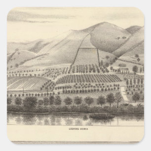 Pegatina Cuadrada Mizzen Rancho superior