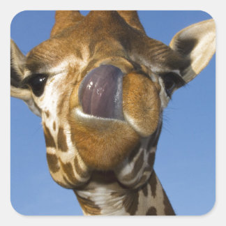 Pegatina Cuadrada Mmmm Mmmmm Good