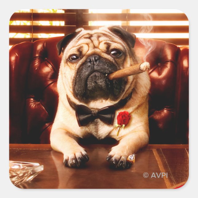 Pegatina Cuadrada Mobster Dog (Anverso)