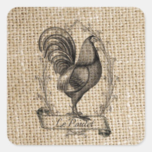 Pegatina Cuadrada Moderno gallo de campo de pollo de granja francés