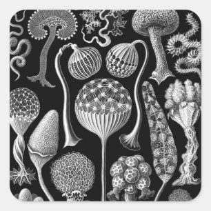 Pegatina Cuadrada Moldes delgadas en blanco y negro