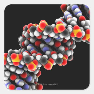 Pegatina Cuadrada MOLÉCULA de ADN. Modelo molecular de ADN