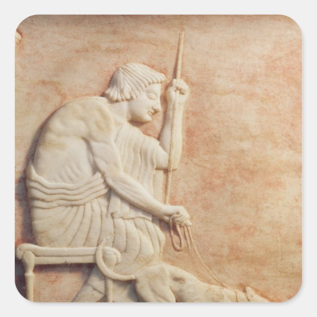 Pegatina Cuadrada Molestias animales (Anverso)