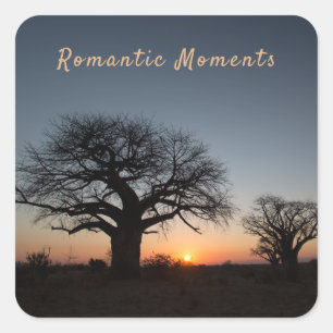 Pegatina Cuadrada Momentos románticos Sunset Sacred Baobabs foto tex