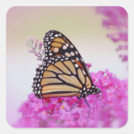 Pegatina Cuadrada Monarca en rosa - Mariposa
