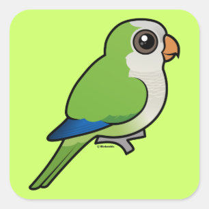 Pegatina Cuadrada Monk Parakeet