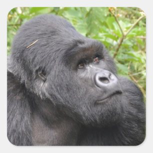 Pegatina Cuadrada Mono feliz