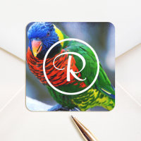 Monograma de loro colorido rojo verde azul