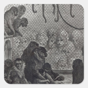 Pegatina Cuadrada Monos de Londres