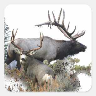 Pegatina Cuadrada Monster buck