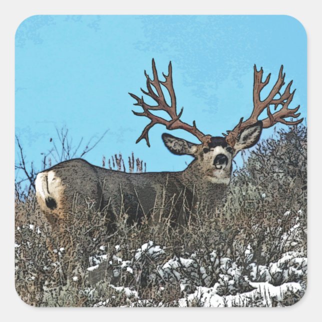Pegatina Cuadrada Monster mule deer buck (Anverso)