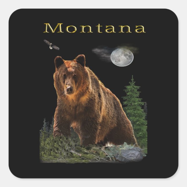 Pegatina Cuadrada Montana Osos (Anverso)
