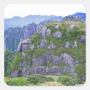 Pegatina Cuadrada Monte Nagata, Yakushima, Kagoshima, Japón