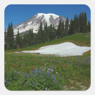 Pegatina Cuadrada Monte Rainier, flores silvestres y nieve