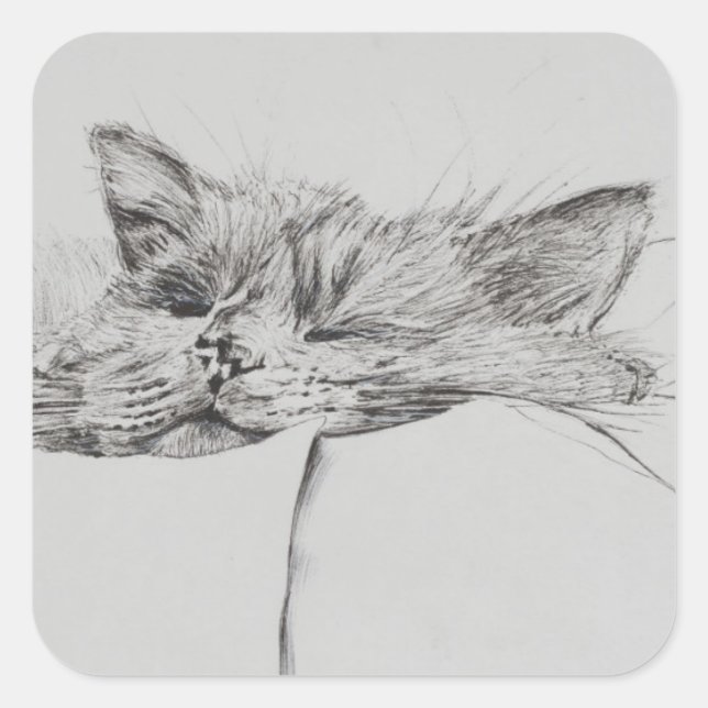 Pegatina Cuadrada Monty-sleepy (Anverso)