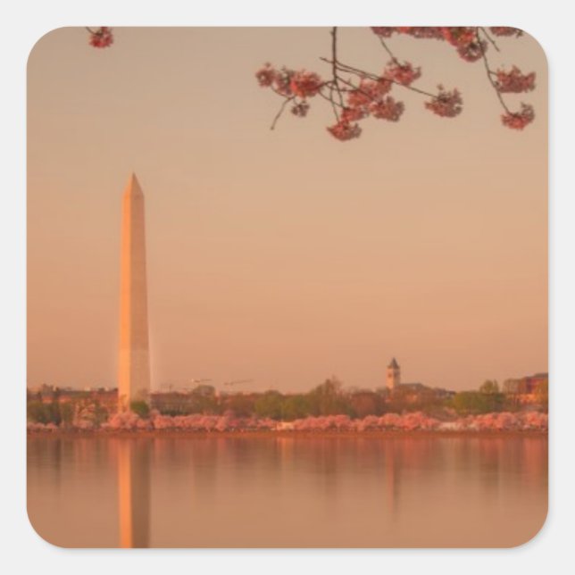 Pegatina Cuadrada Monumento de Washington Sakura en la puesta del (Anverso)