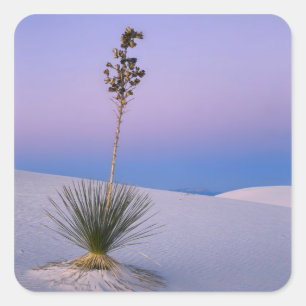 PEGATINA CUADRADA MONUMENTO NACIONAL WHITE SANDS, NUEVO MÉXICO.