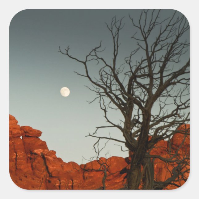 Pegatina Cuadrada Moon malvada (Anverso)