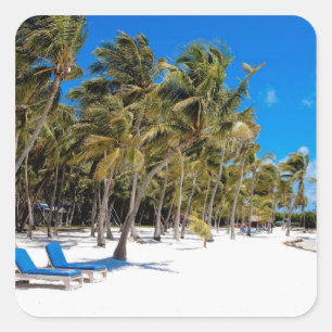 Pegatina Cuadrada Moorings Resort, Marathon, Key West, 3