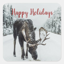 Moose In Winter Snow Navidades