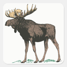 Moose Pegatinas