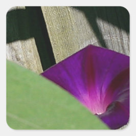 Pegatina Cuadrada Morado Floral