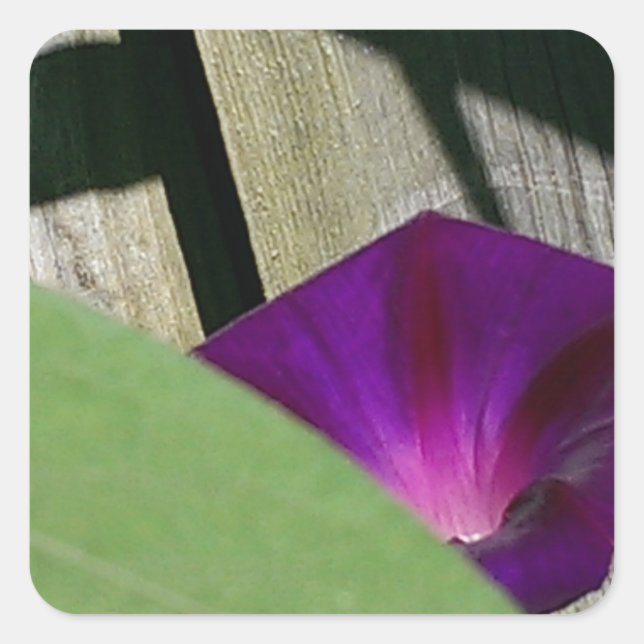 Pegatina Cuadrada Morado Floral (Anverso)