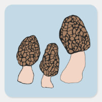 Morels Mushrooms Fun Fungi PERSONALIZAR IT