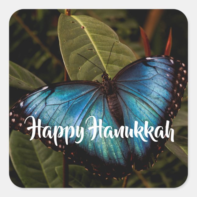 Pegatina Cuadrada Morfo azul, mariposa feliz Hanukkah (Anverso)