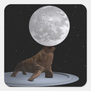 Pegatina Cuadrada Morsa Equilibrando La Luna