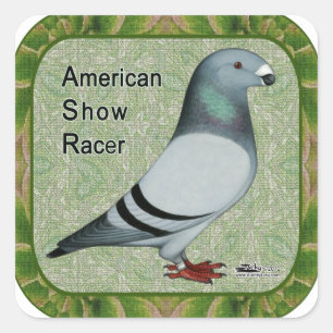 Pegatina Cuadrada Mostrar el marcador de posición