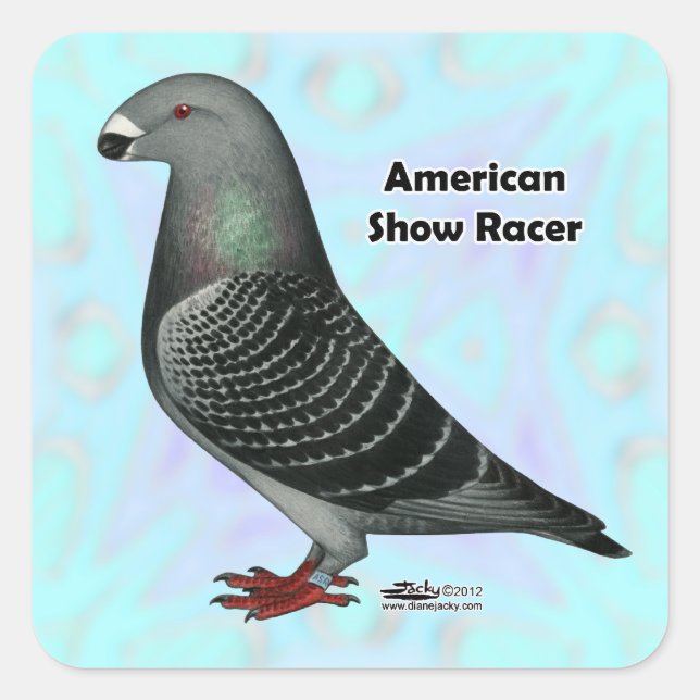 Pegatina Cuadrada Mostrar Racer ASR (Anverso)