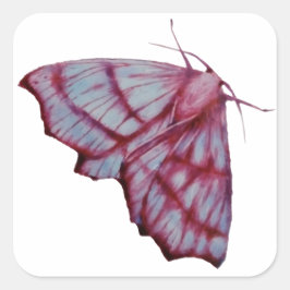Pegatina Cuadrada Mot, moth