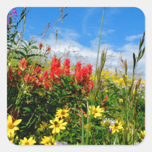 Pegatina Cuadrada Mt. Flores silvestres