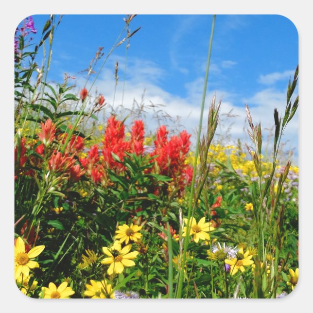 Pegatina Cuadrada Mt. Flores silvestres (Anverso)