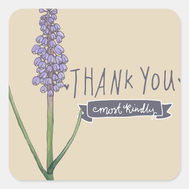 Pegatina Cuadrada Muchas Gracias Por La Amabilidad De Hyacinth (Anverso)